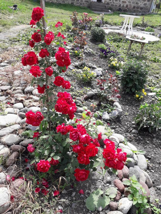 Kazbegi Guest House Exterior foto